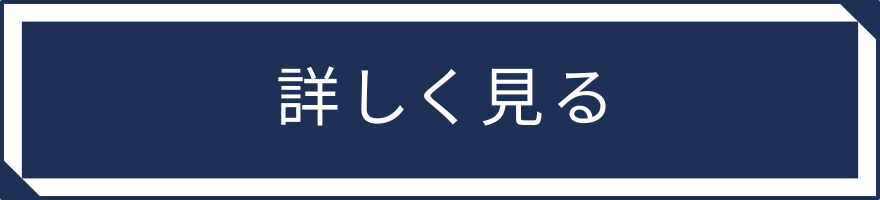 詳しく見る